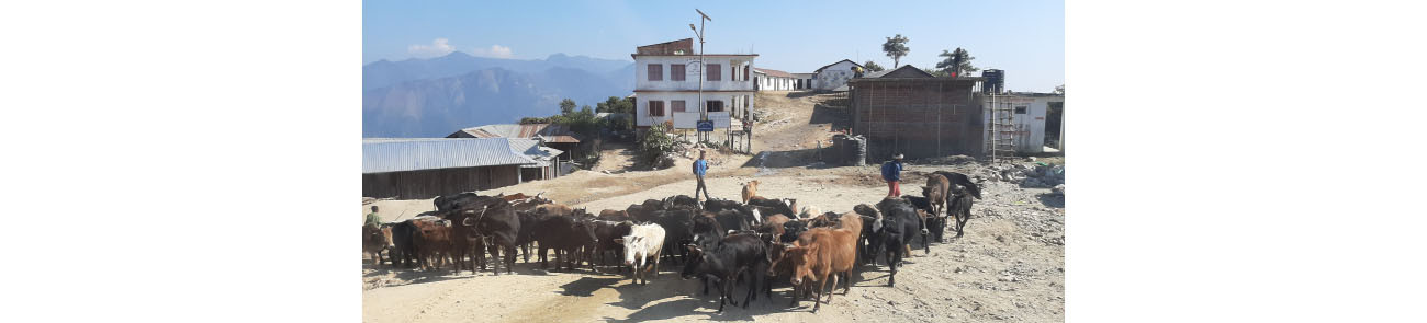 https://raracms.setopati.com/uploads/shares/2019/yatra khotang/khotang (1).jpg